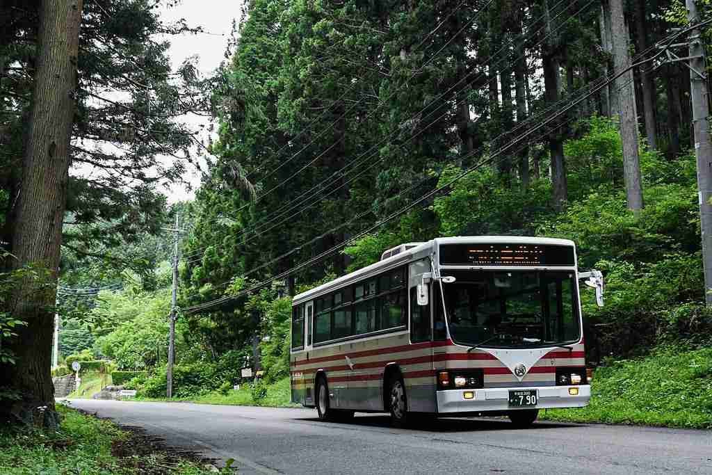 Dorota Apostel (kajetanmazepa) Farcaster social identity (Fname handle) PFP