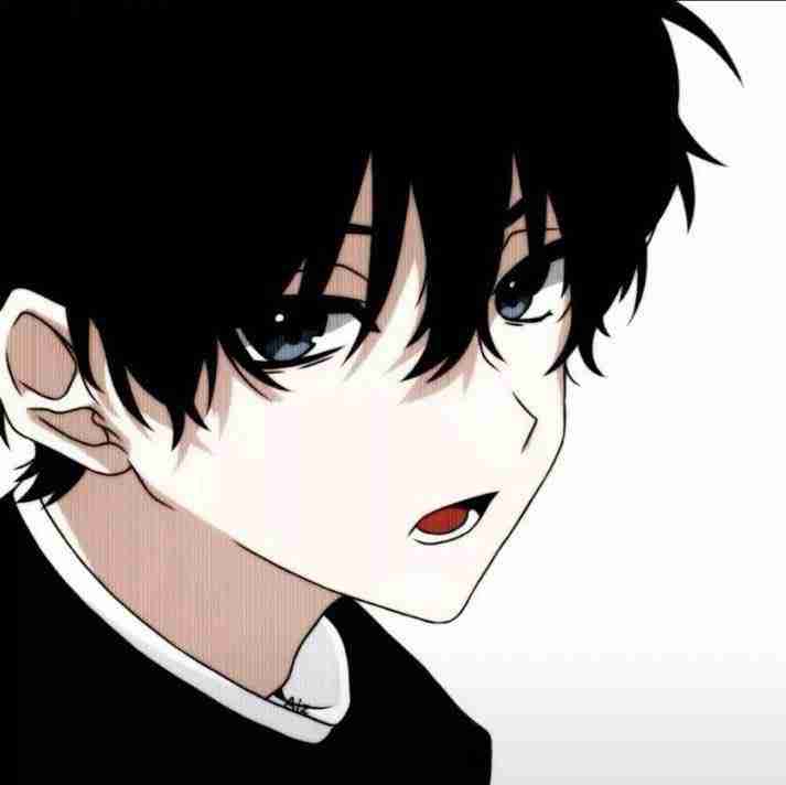 shaba.eth Ethereum Name Service (ENS and .eth domain) PFP