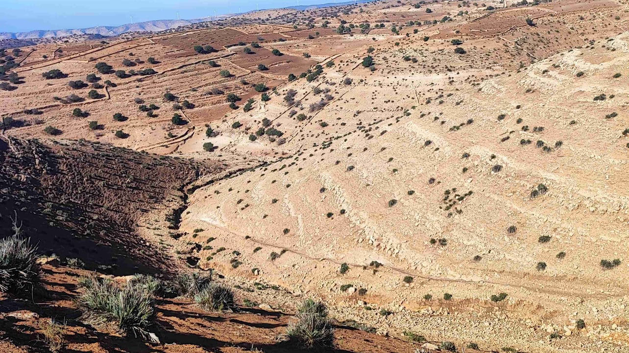 abidi.lens Lens social identity (.lens handle) PFP