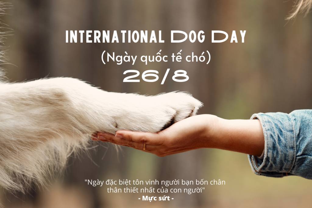 https://imagedelivery.net/BXluQx4ige9GuW0Ia56BHw/3b2a6c4d-623e-422c-54ed-69405ce29200/original