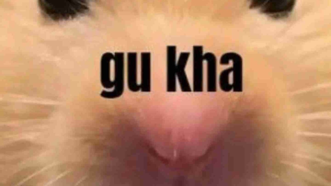 Rakib pfp