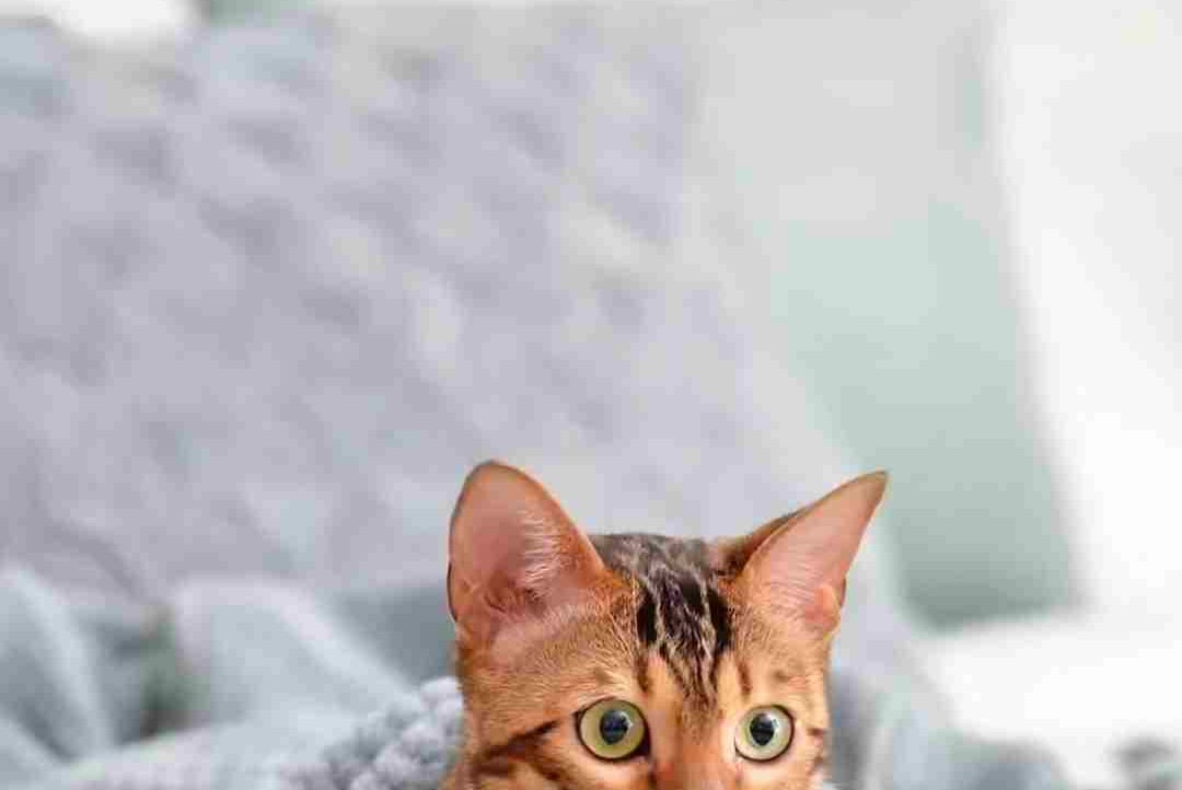 beyond (beyond0x) Farcaster social identity (Fname handle) PFP