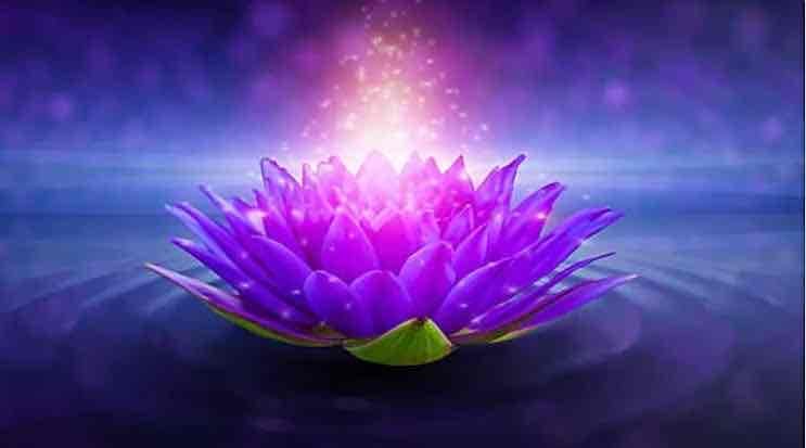 nellyz.linea.eth Linea Name Service (.linea.eth domains) based on ENS PFP