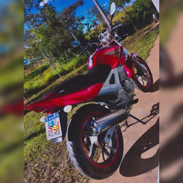 maverick88 pfp