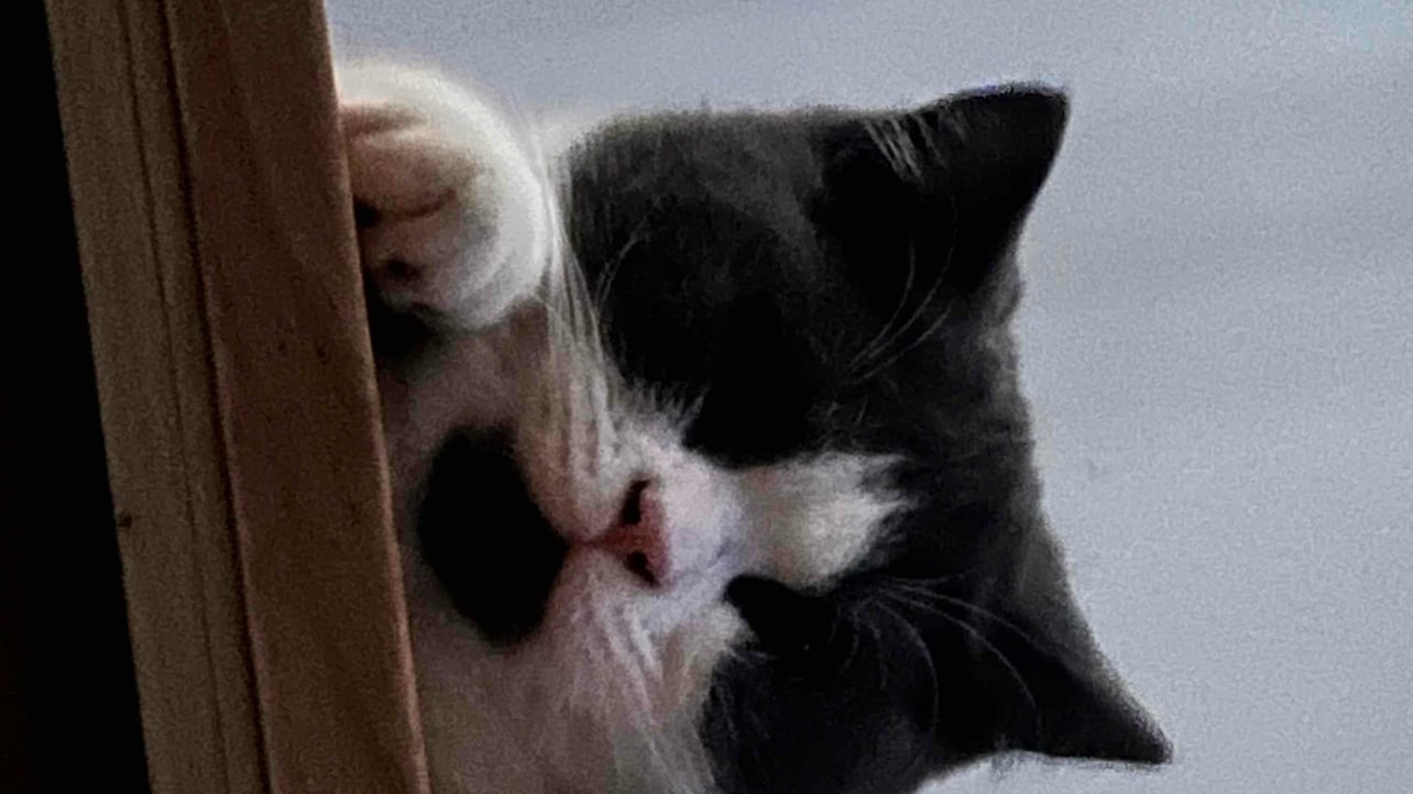 或许伤感总在一瞬间 (ywl) Farcaster social identity (Fname handle) PFP