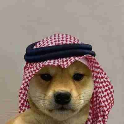 Alexprime (alexprime) Farcaster social identity (Fname handle) PFP