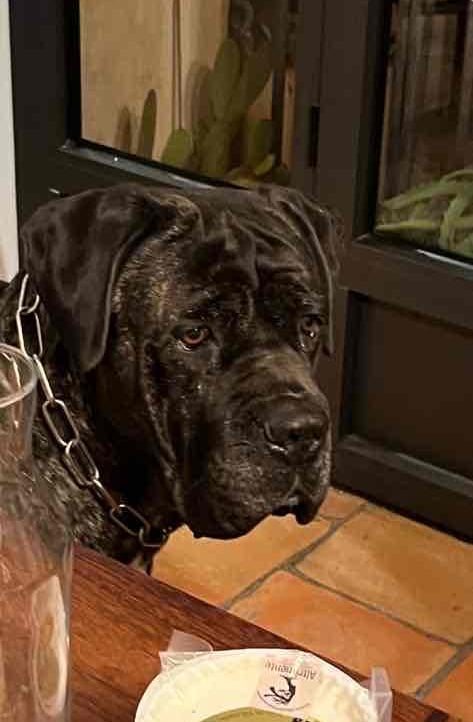 Gindul (gindul) Farcaster social identity (Fname handle) PFP