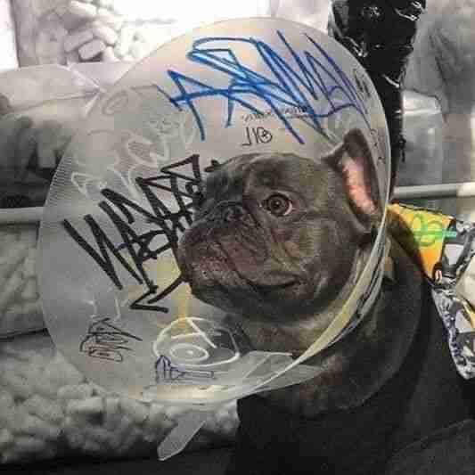 BergstrEvrelo (bergstrevrelo) Farcaster social identity (Fname handle) PFP