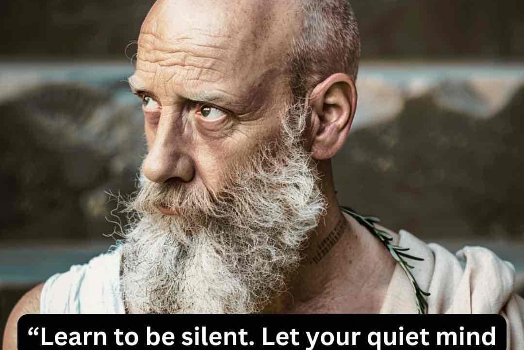 Cryptorynox (cryptorynox.lens) Lens social identity (.lens handle) PFP