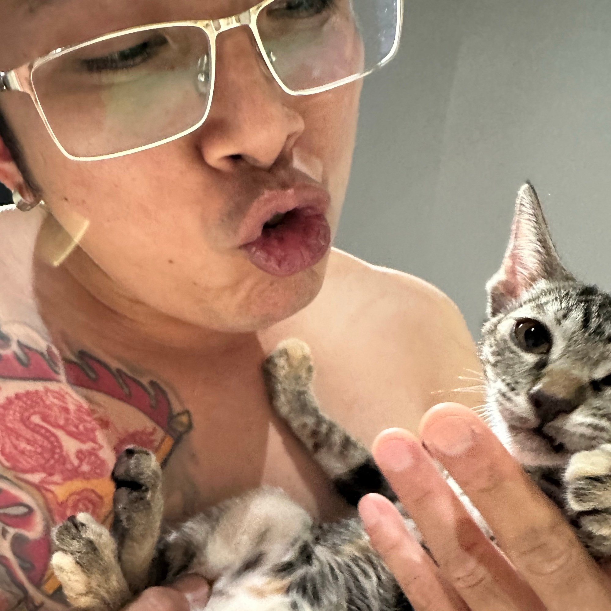 meowcat's Farcaster avatar