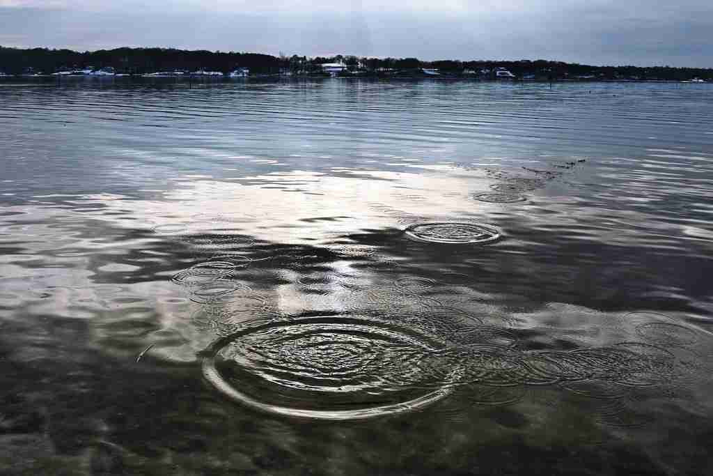 Monica Sutton (william88) Farcaster social identity (Fname handle) PFP