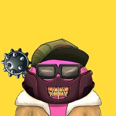 Iggy pfp