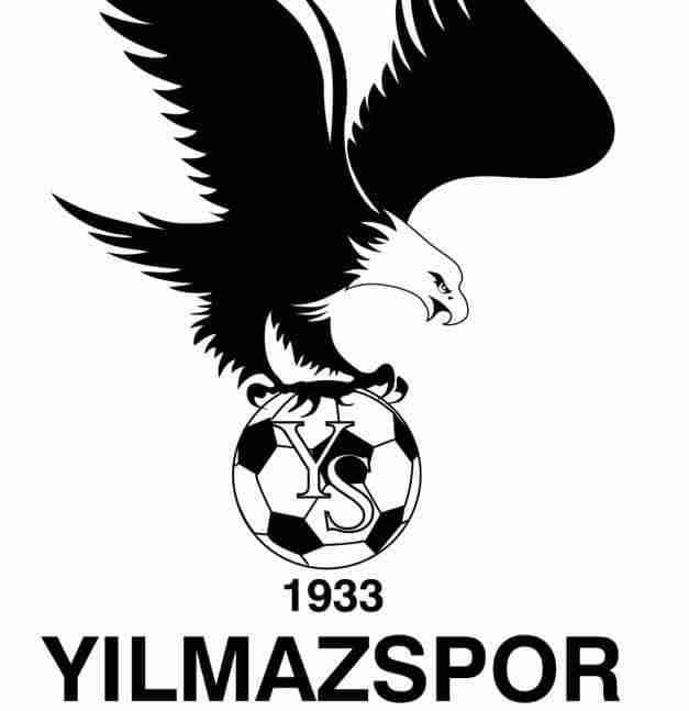 guler yilmaz pfp