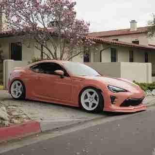 Petr◱ ◱ (adgadgad.lens) Lens social identity (.lens handle) PFP