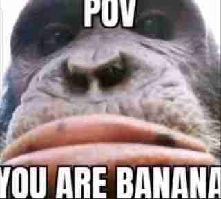 enxgod.lens Lens social identity (.lens handle) PFP