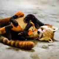 West◱ ◱ (yrjjrthehe.lens) Lens social identity (.lens handle) PFP