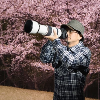 ashka.lens Lens social identity (.lens handle) PFP