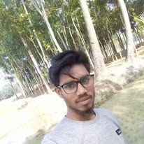 Towhidul pfp