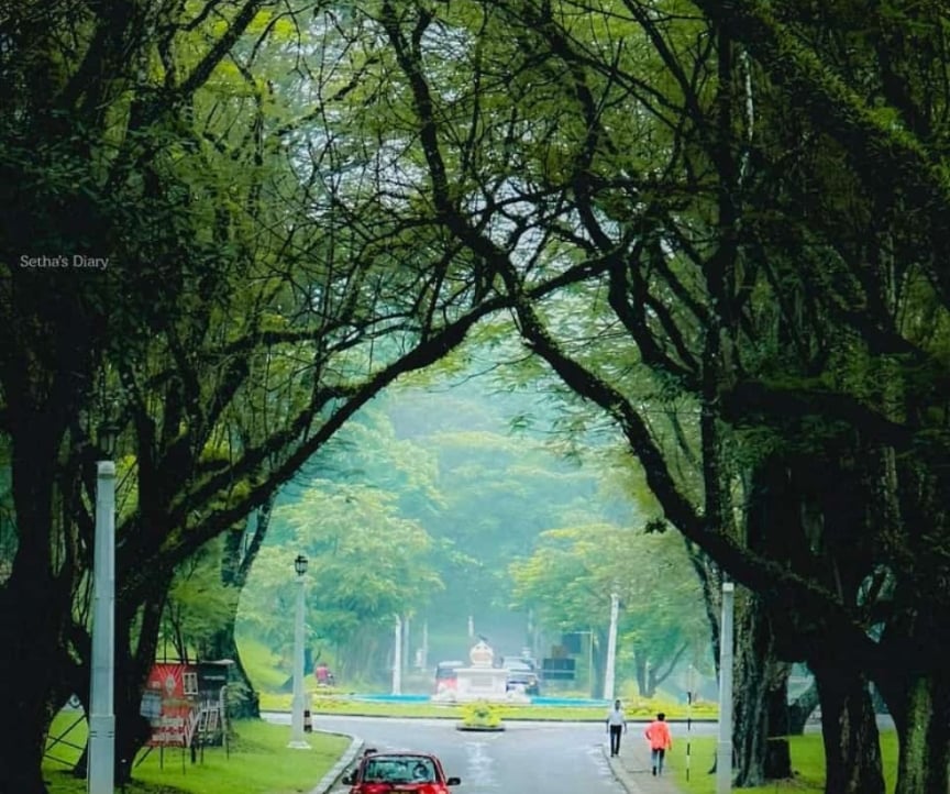 Hasitha Maduranga pfp