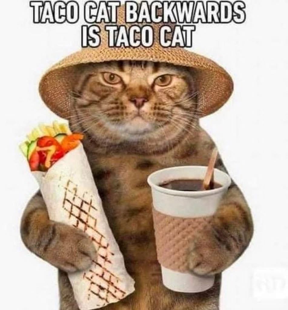 TACOCAT