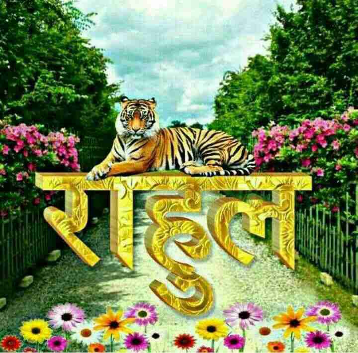 Rahul Kumar (rahulyz1) Farcaster social identity (Fname handle) PFP