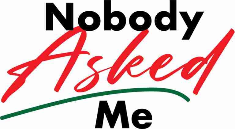 nobodyVN pfp