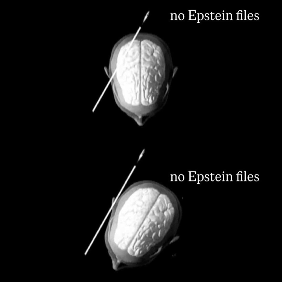 nepstein files
