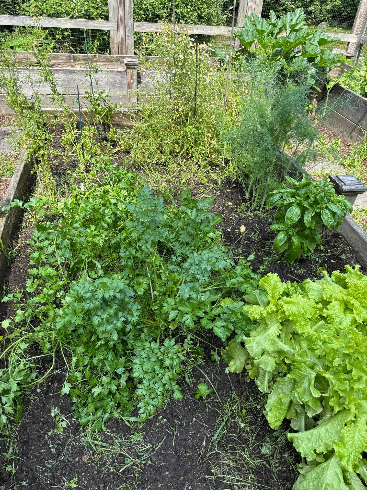 Embed from @adrienne