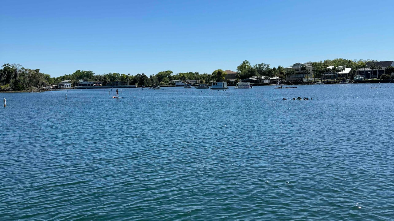 sitbit (sitbit.lens) Lens social identity (.lens handle) PFP