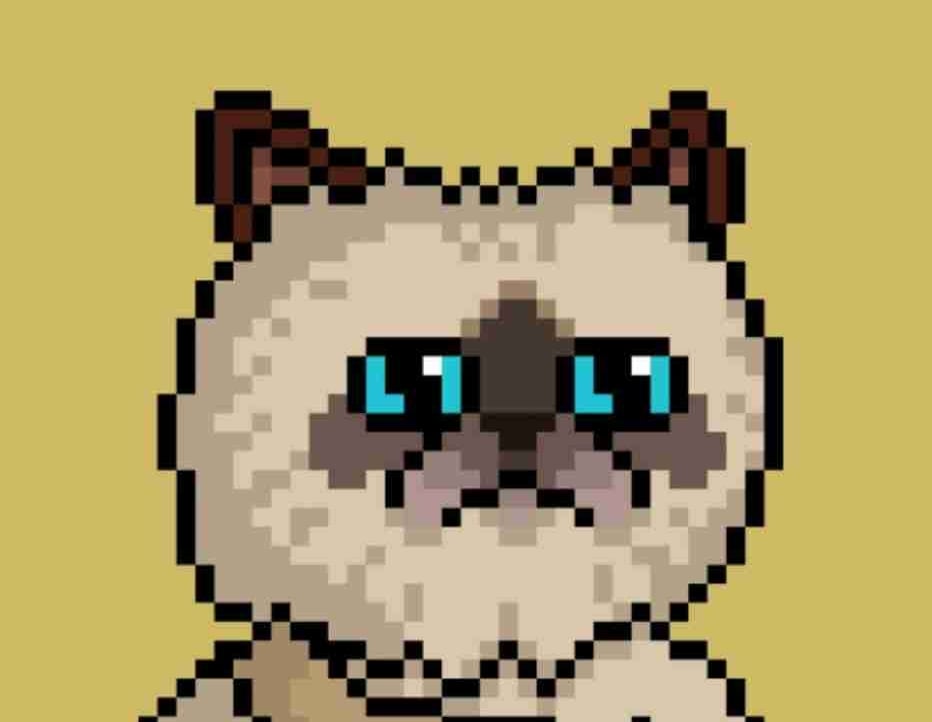 Meme Soldier $Miggles ๐ pfp