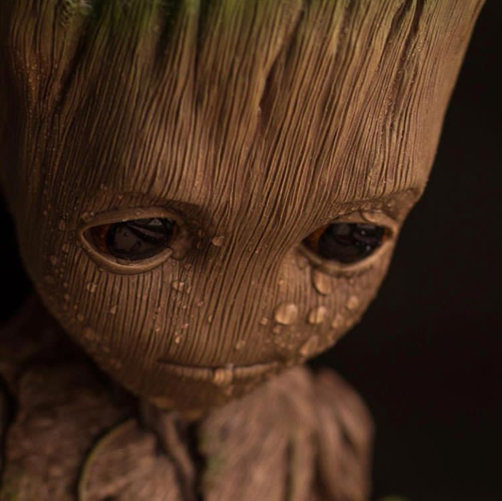 n3m3n.lens Lens social identity (.lens handle) PFP