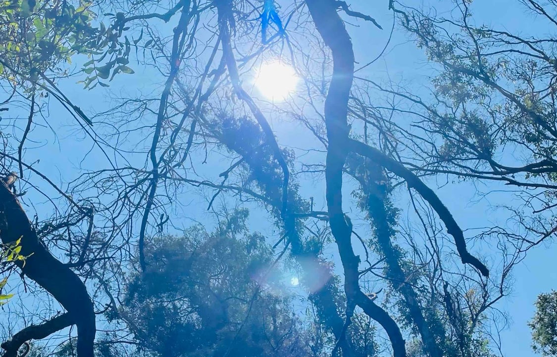 Rasher (rasherx) Farcaster social identity (Fname handle) PFP