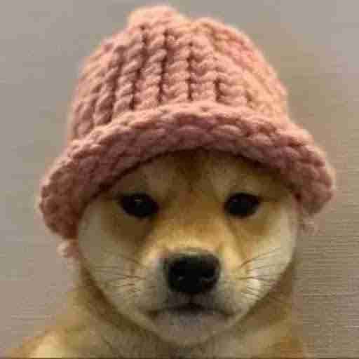 Warpcastwifhat pfp