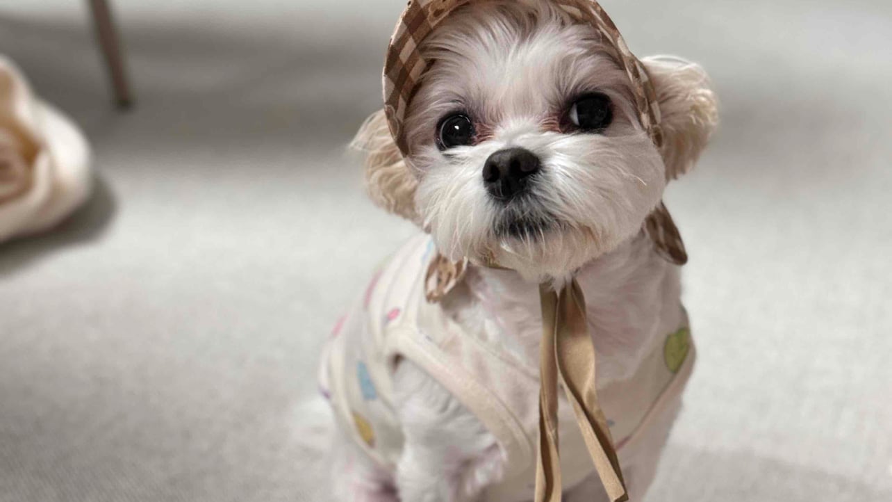 Jang (madeinrich) Farcaster social identity (Fname handle) PFP