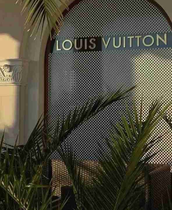 govnojopa (govnojopa.lens) Lens social identity (.lens handle) PFP