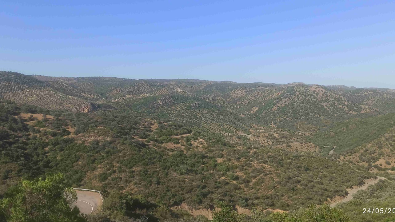 George  (george83) Farcaster social identity (Fname handle) PFP