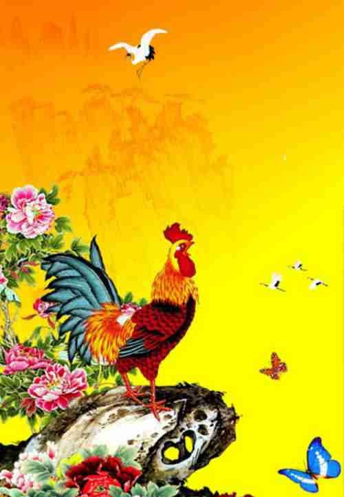 pmd (pmd1969.lens) Lens social identity (.lens handle) PFP