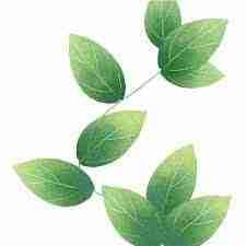 ensix.eth Ethereum Name Service (ENS and .eth domain) PFP