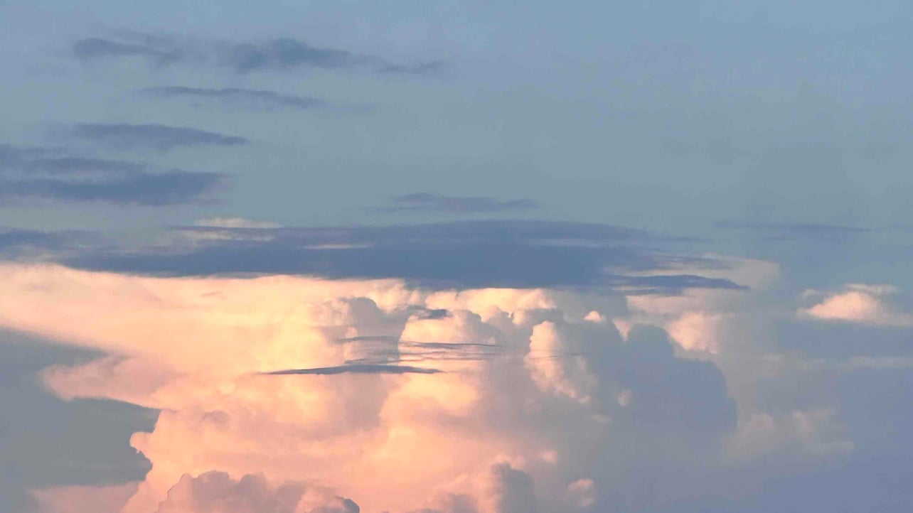 L (niannian0901) Farcaster social identity (Fname handle) PFP