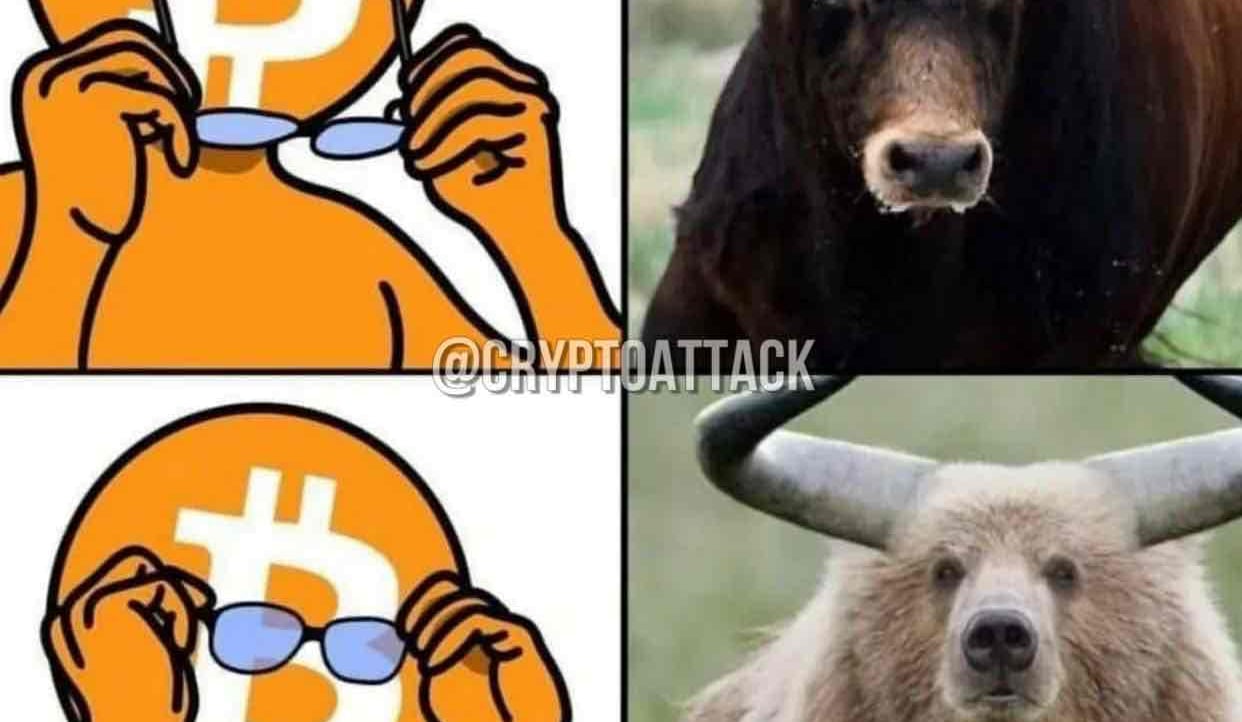 metralunab.lens Lens social identity (.lens handle) PFP