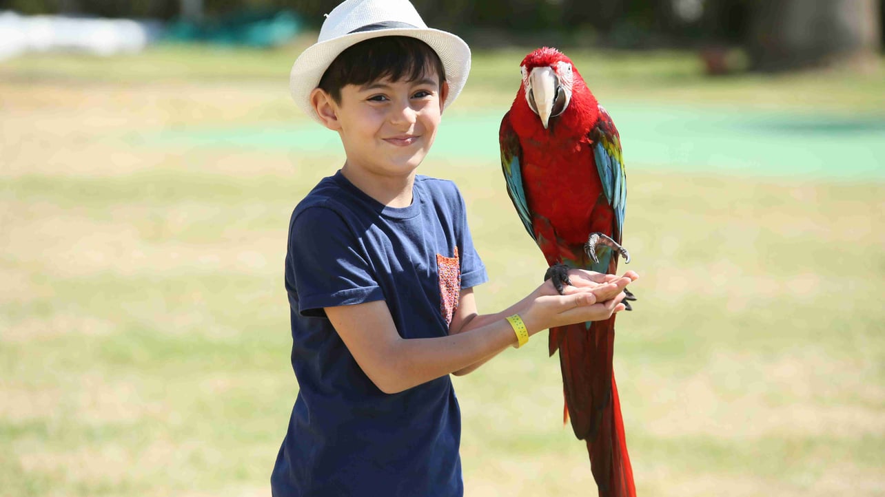 Mahmut Uruk  (mamudo) Farcaster social identity (Fname handle) PFP