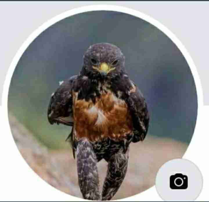 iteryum.lens Lens social identity (.lens handle) PFP