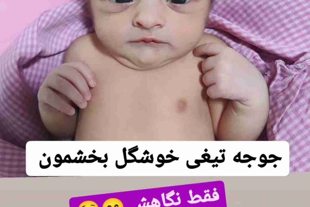 omid (omidhojatdoust.lens) Lens social identity (.lens handle) PFP