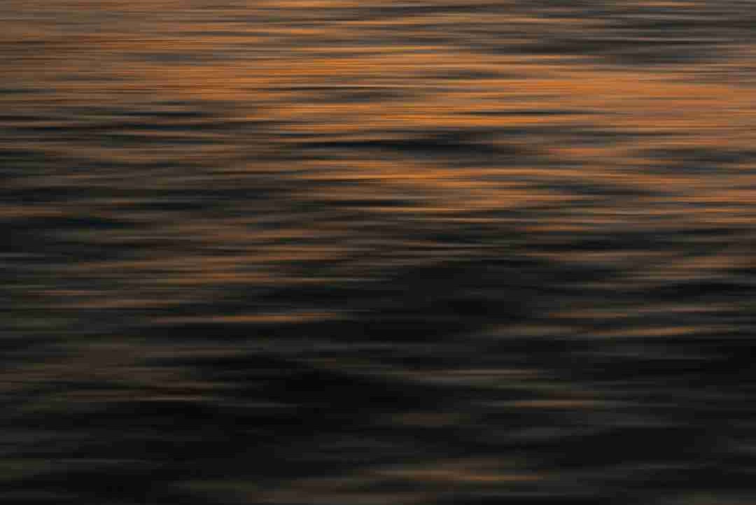 DJCrazyBeat (djcrazybeat) Farcaster social identity (Fname handle) PFP