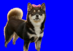 BASED COCORO's Farcaster avatar