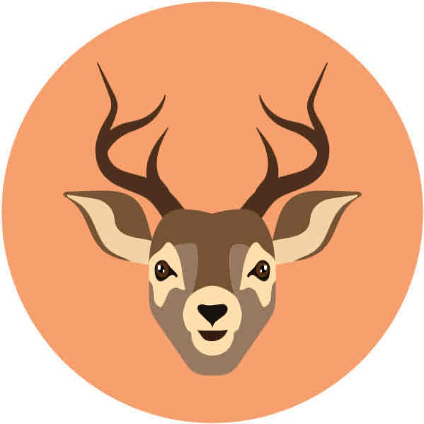 Laozou (laozou) Farcaster social identity (Fname handle) PFP