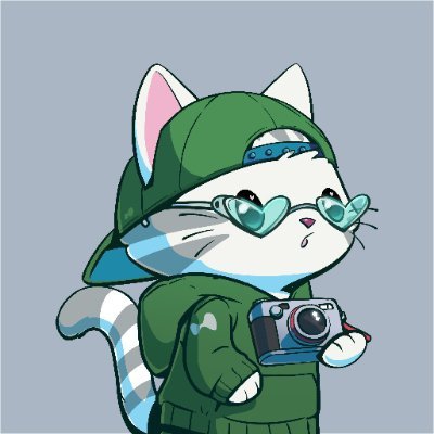 Kitty Base