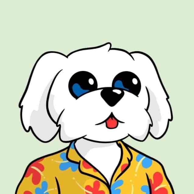 freedom4.lens Lens social identity (.lens handle) PFP