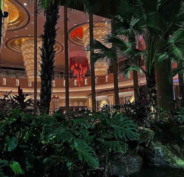 Lily Brooks (amy58) Farcaster social identity (Fname handle) PFP