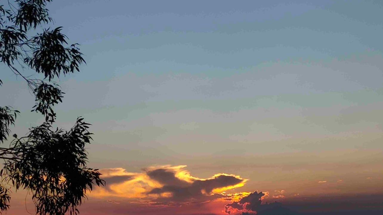 s2625 (s2625.lens) Lens social identity (.lens handle) PFP